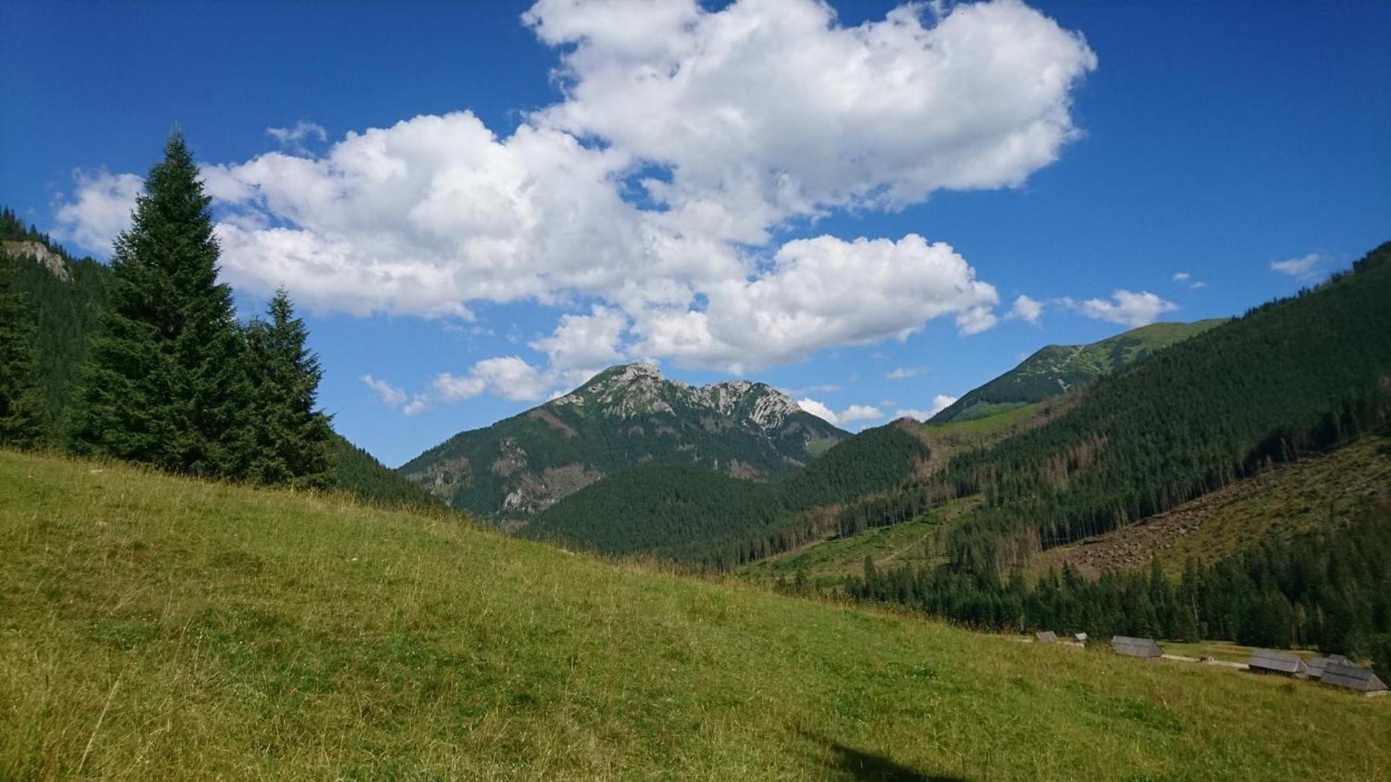 U Suchowiana Закопане Экстерьер фото